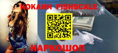 крисы Камышлов