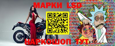 спайс Кандалакша