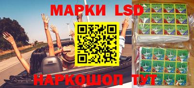 крисы Камышлов