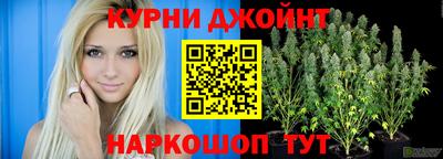 мяу мяу мука Канаш