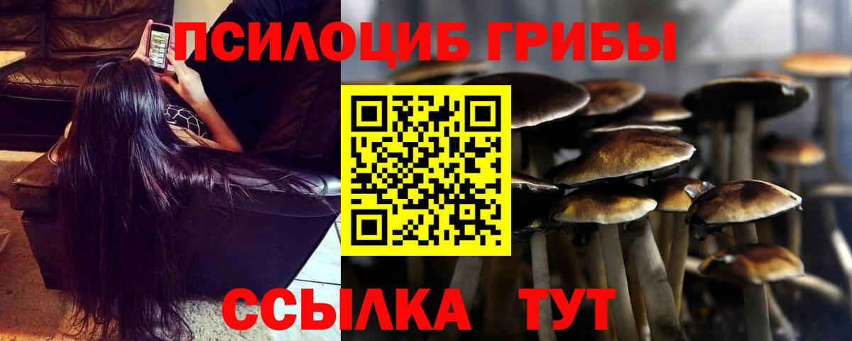 Лыткарино  Псилоцибиновые грибы мухоморы  Вход с VPN  Псилоцибиновые грибы MAGIC MUSHROOMS 